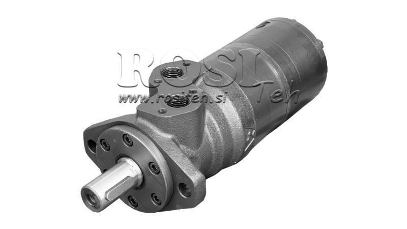 SILNIK HYDRAULICZNY B/MR 250 - Z HAMULCEM