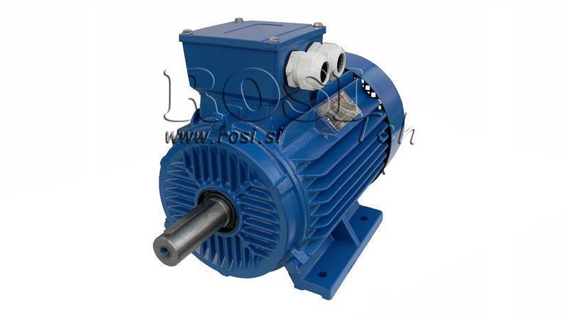 SILNIK ELEKTRYCZNY 2P B3 3F stopy
