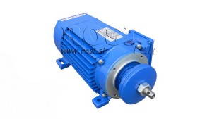 ELECTRIC-MOTORS-FOR-CIRCULAR-SAWS