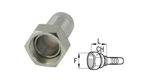 BSP-FEMALE-CONNECTIONS